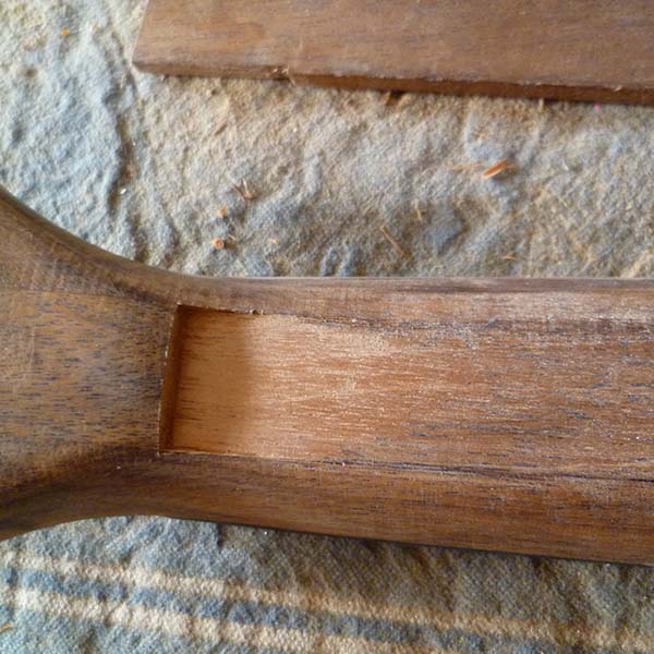 logement pour insert Swietenia macrophylla